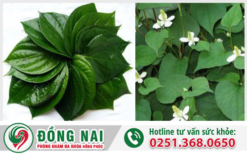 Bài thuốc dân gian chữa bệnh mạch lươn hiệu quả tại Biên Hòa