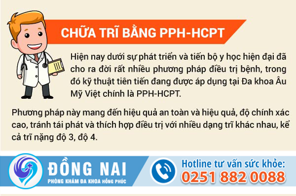 Lá cúc tần chữa bệnh trĩ?
