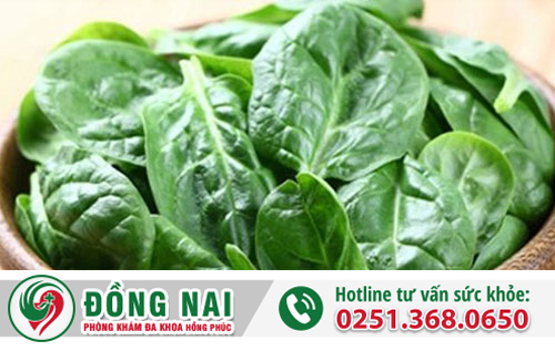 Cách chữa bệnh trĩ bằng rau mồng tơi có hiệu quả không?