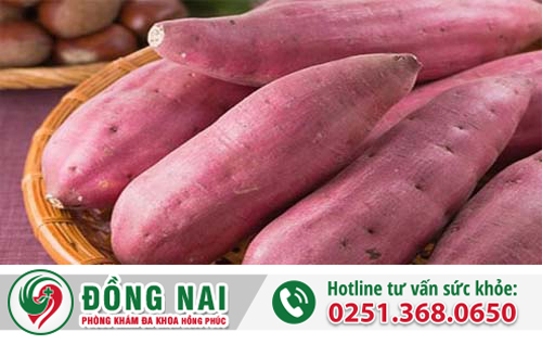 Mẹo chữa trĩ bằng khoai lang có hiệu quả không?
