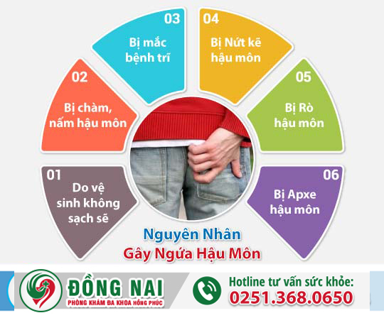 Triệu chứng ngứa hậu môn là bệnh gì?