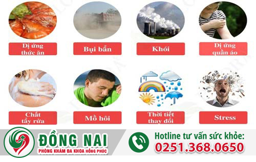Nguyên nhân gây chàm hậu môn