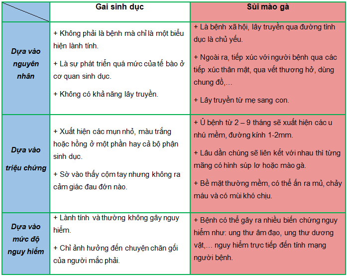 Phân biệt gai sinh dục với sùi mào gà