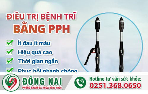 Trĩ nội là gì?